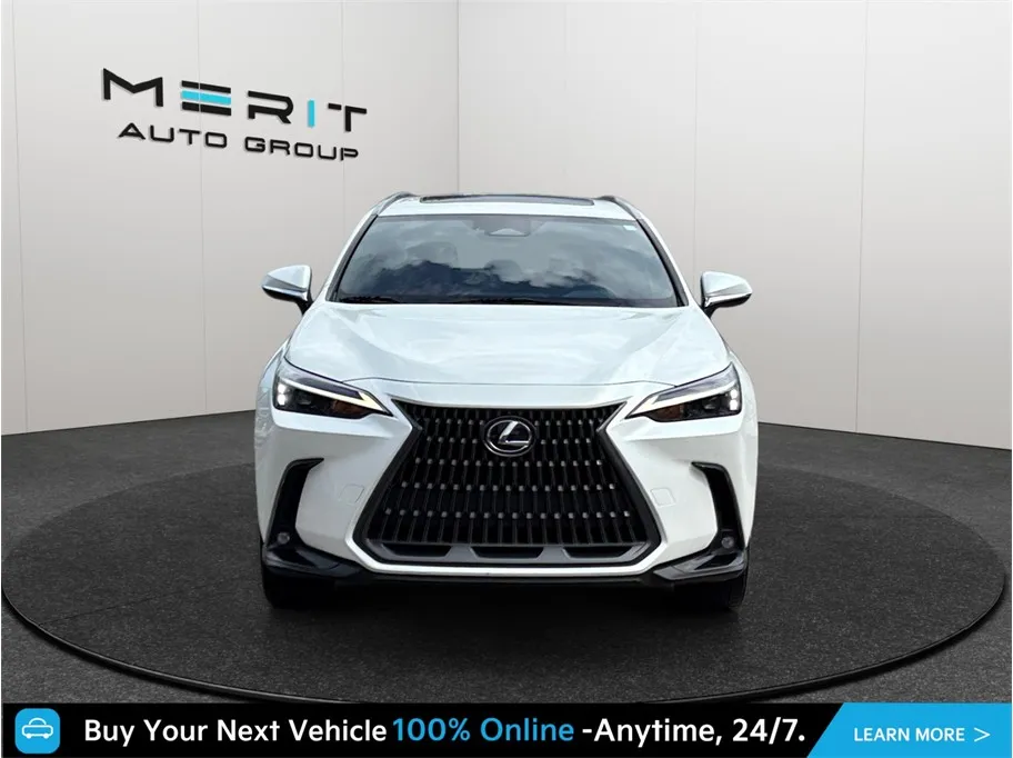 Lexus NX photo 3