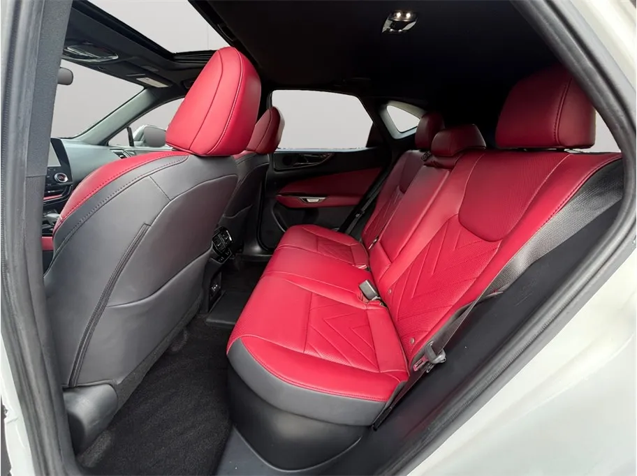 Lexus NX photo 36