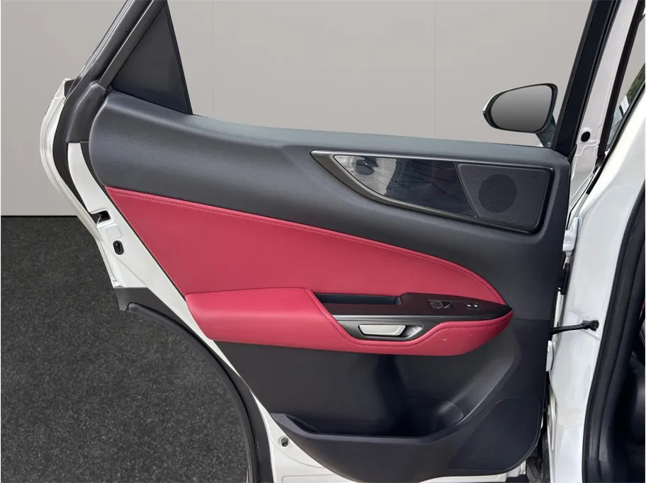 Lexus NX photo 37