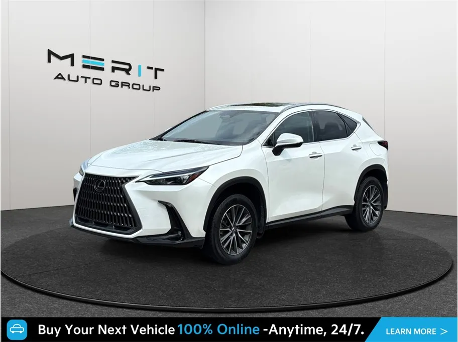 Lexus NX photo 4
