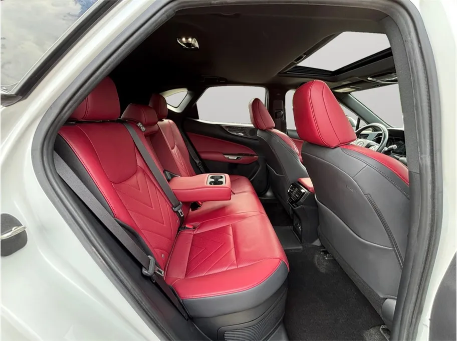 Lexus NX photo 41