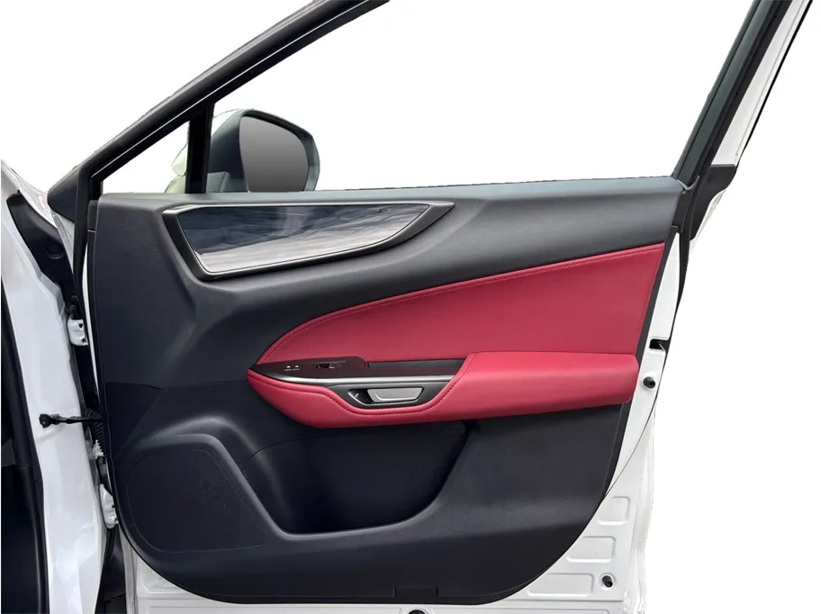 Lexus NX photo 44