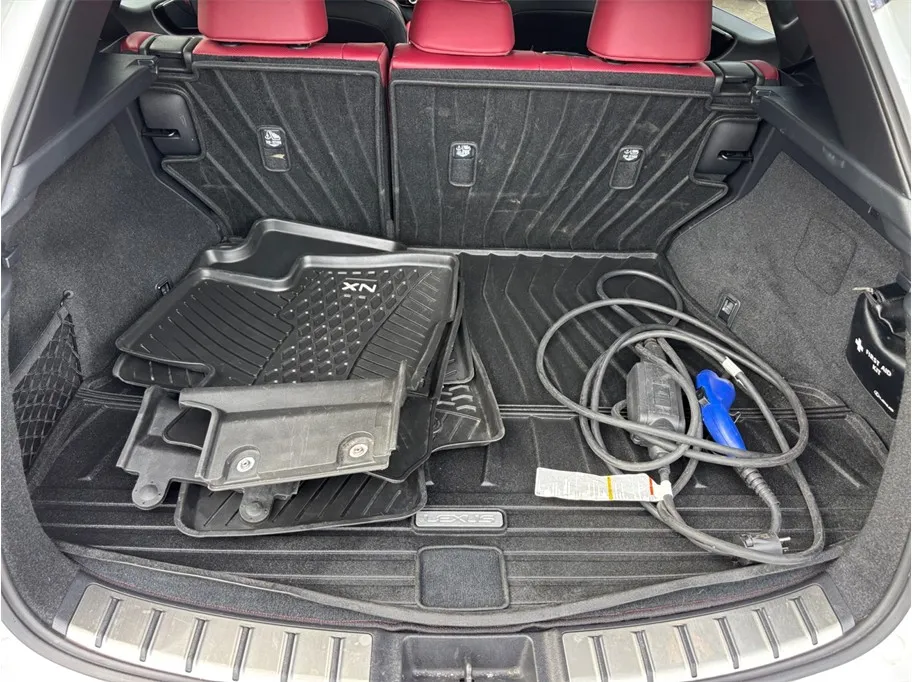 Lexus NX photo 48