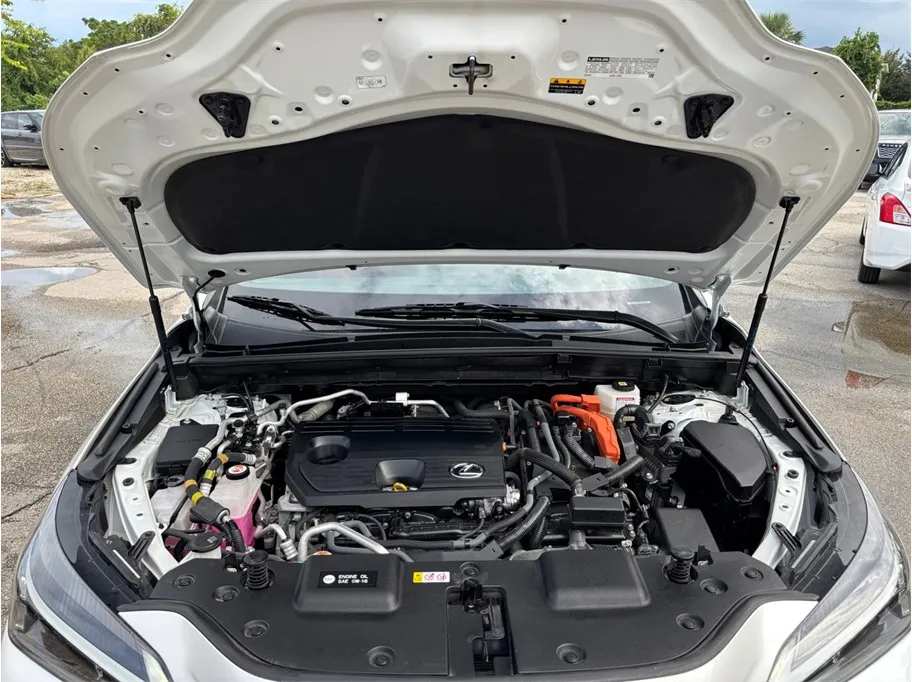 Lexus NX photo 49
