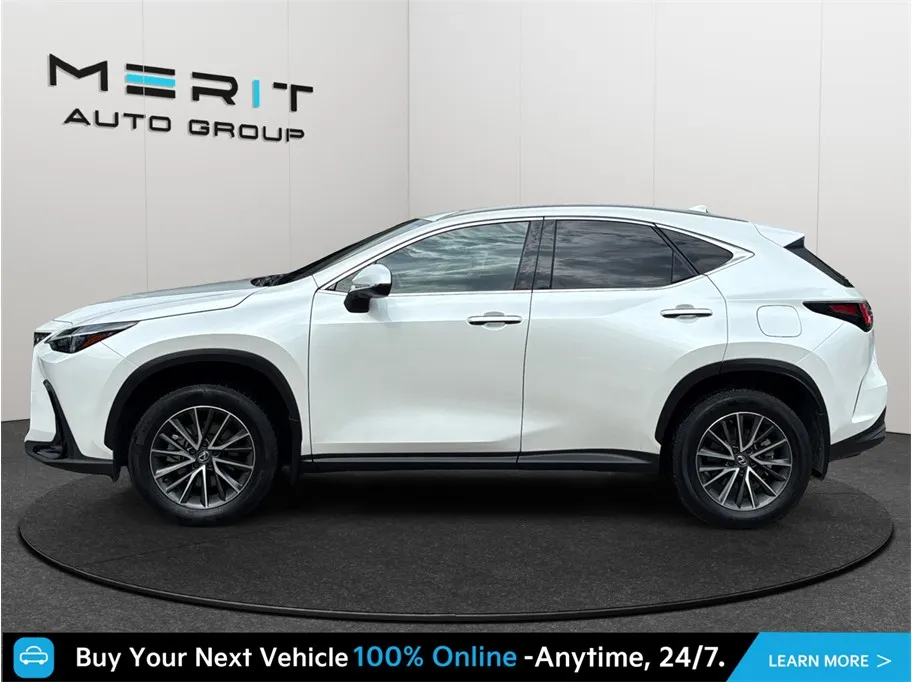 Lexus NX photo 5
