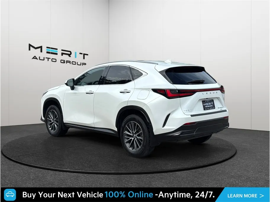 Lexus NX photo 7