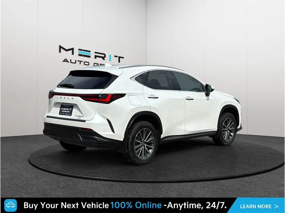 Lexus NX photo 9