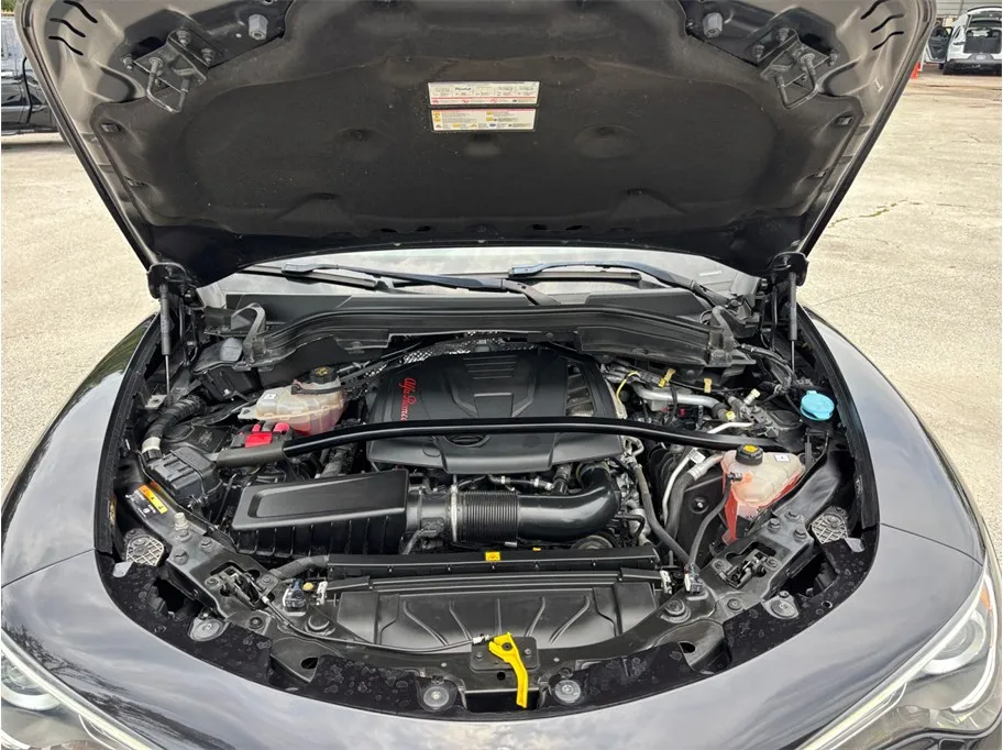 Alfa Romeo Stelvio photo 54