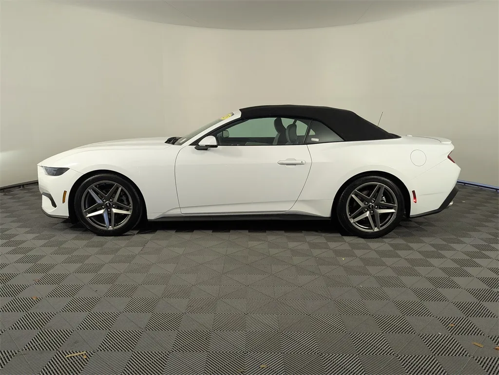 2025 Ford Mustang EcoBoost Premium photo 3