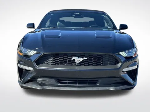 Another view of 2022 Ford Mustang EcoBoost Premium for sale in Pensacola, FL at Step One Cadillac Buick GMC Pensacola