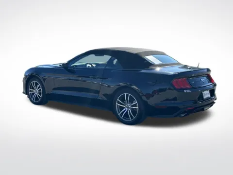 More photos of 2022 Ford Mustang EcoBoost Premium at Step One Cadillac Buick GMC Pensacola, FL