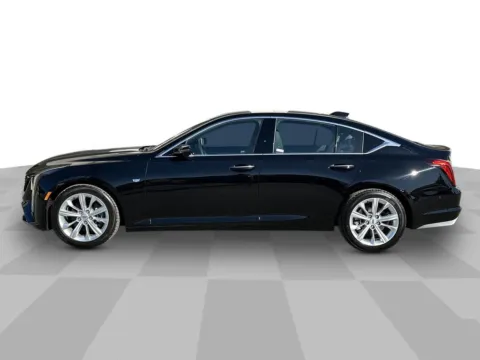 More photos of 2026 Cadillac CT5 Premium Luxury at Step One Cadillac Buick GMC Pensacola, FL