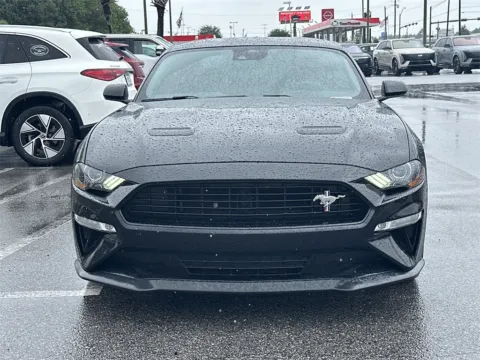 More photos of 2021 Ford Mustang GT Premium at Step One Cadillac Buick GMC Pensacola, FL