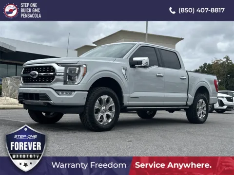 Gray 2023 Ford F-150 Platinum for sale in Pensacola, FL