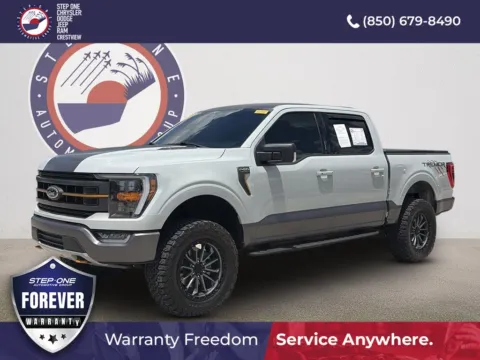 Gray 2023 Ford F-150 Tremor for sale in Crestview, FL