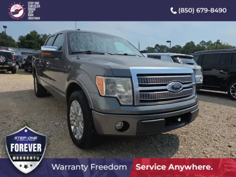 Gray 2010 Ford F-150 Platinum for sale in Crestview, FL