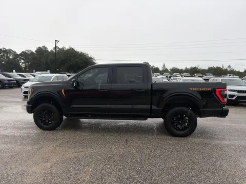 Another view of 2023 Ford F-150 Tremor for sale in Crestview, FL at Step One CDJR Fiat Crestview