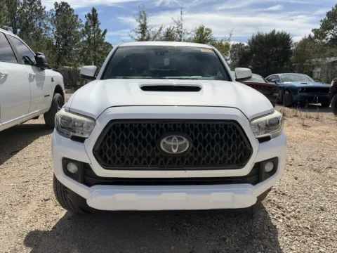 Another view of 2019 Toyota Tacoma TRD Sport for sale in Crestview, FL at Step One CDJR Fiat Crestview