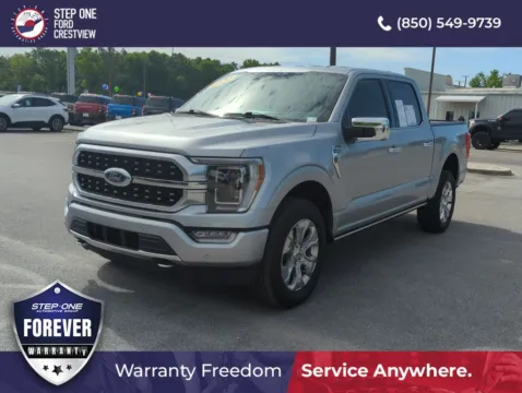 Silver 2023 Ford F-150 Platinum for sale in Crestview, FL