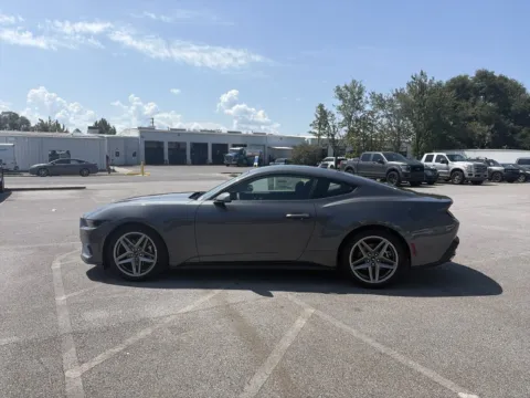 More photos of 2026 Ford Mustang EcoBoost at Step One Ford Crestview, FL