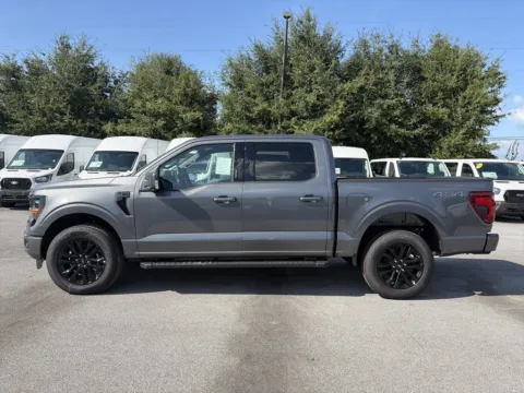 More photos of 2026 Ford F-150 XLT at Step One Ford Crestview, FL