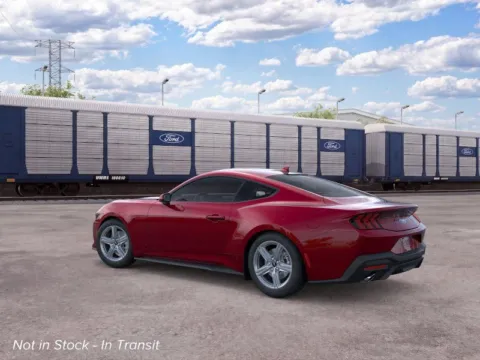 More photos of 2026 Ford Mustang at Step One Ford Crestview, FL