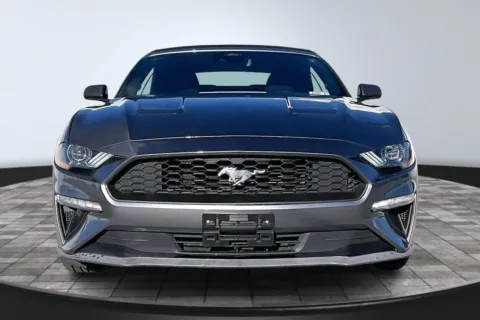 More photos of 2022 Ford Mustang EcoBoost at Redlands CDJR, CA