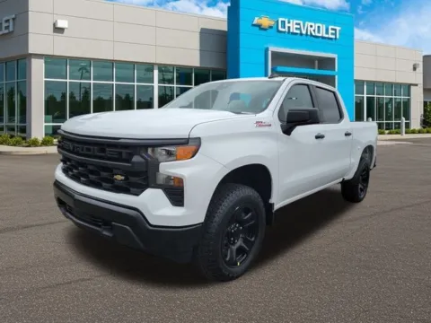 Photos of 2026 Chevrolet Silverado 1500 WT for sale in Bessemer, AL at Step One Chevrolet