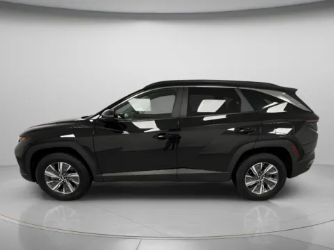 More photos of 2023 Hyundai Tucson Hybrid Blue at MAG CDJR, MO