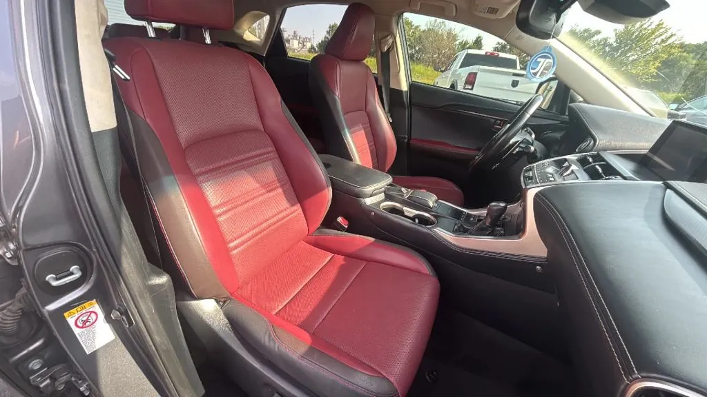 Lexus NX photo 21