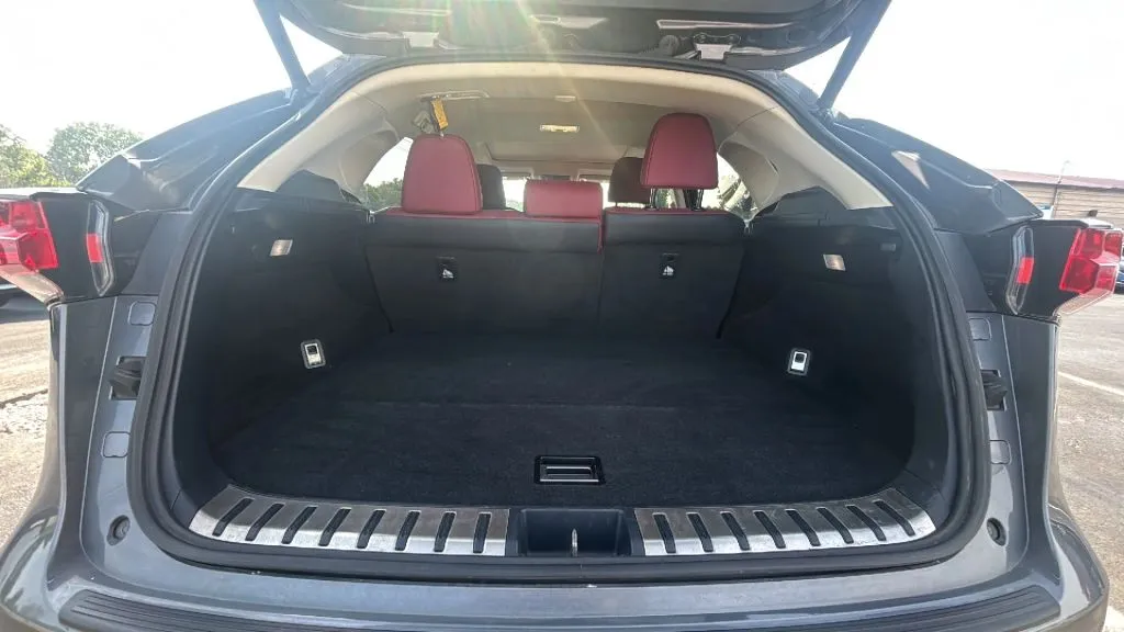 Lexus NX photo 24