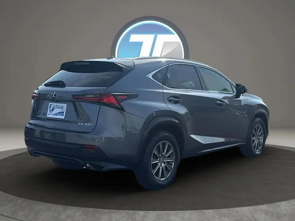 Lexus NX photo 9