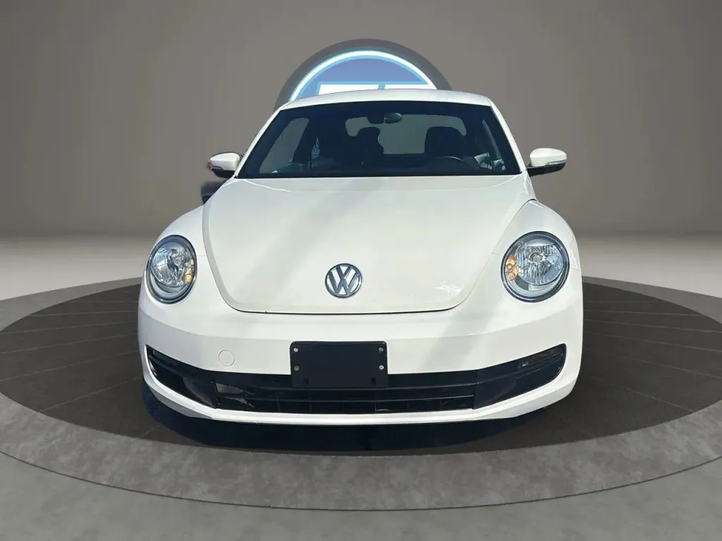 Volkswagen Beetle photo 9