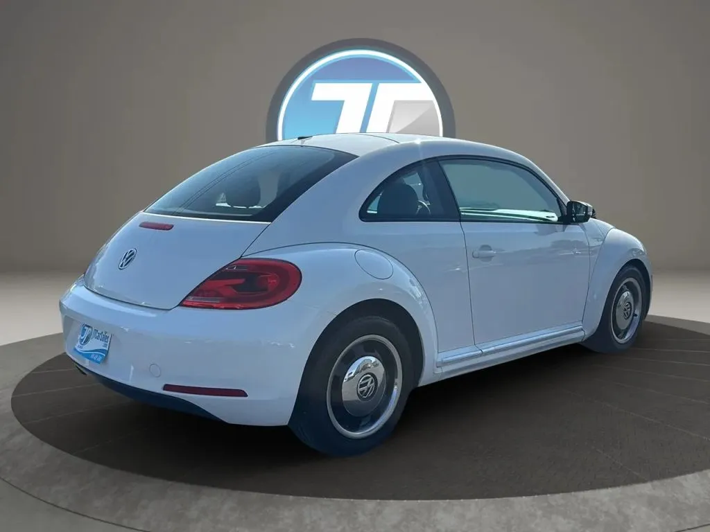 Volkswagen Beetle photo 25