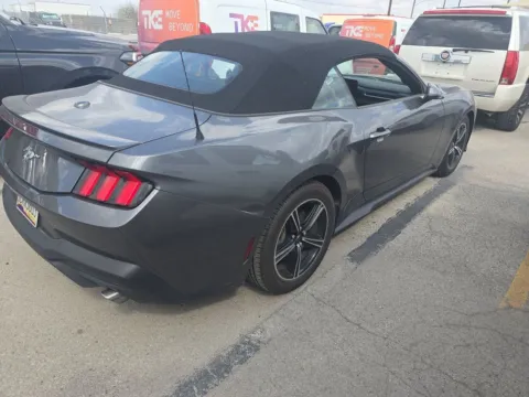 Photos of 2024 Ford Mustang EcoBoost Premium CAM,CLMT STS,BLIND SPOT,18" WLS for sale in Irving, TX at Autos of Dallas - Irving