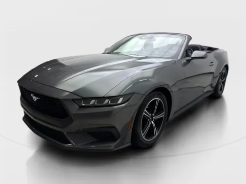 Photos of 2024 Ford Mustang EcoBoost Premium CAM,CLMT STS,BLIND SPOT,18" WLS for sale in Irving, TX at Autos of Dallas - Irving