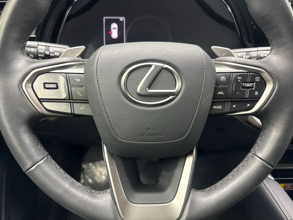 2024 Lexus RX 350 - Photo 57