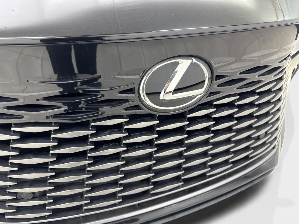 2024 Lexus RX 350 - Photo 25