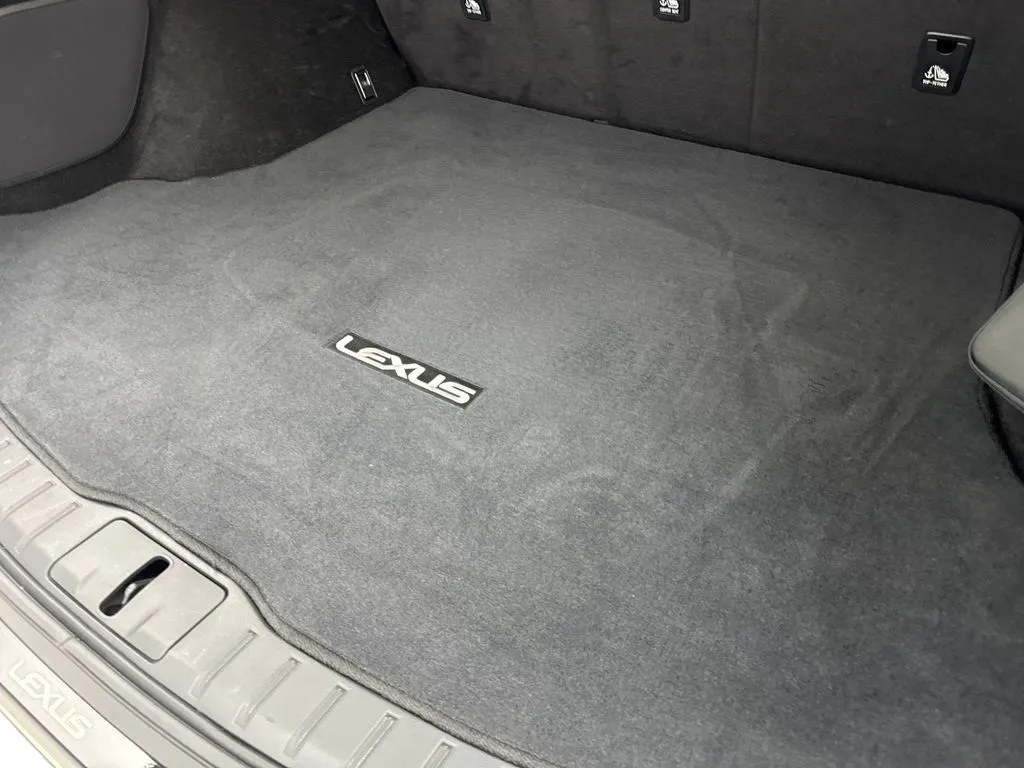2024 Lexus RX 350 - Photo 78