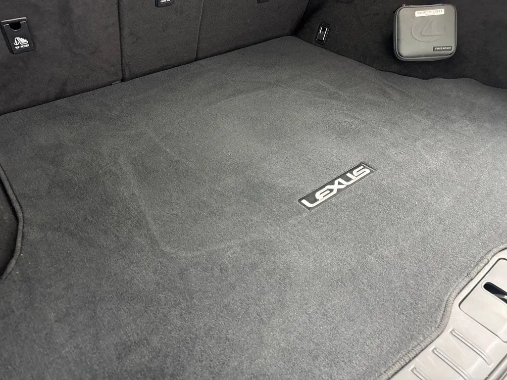 2024 Lexus RX 350 - Photo 79