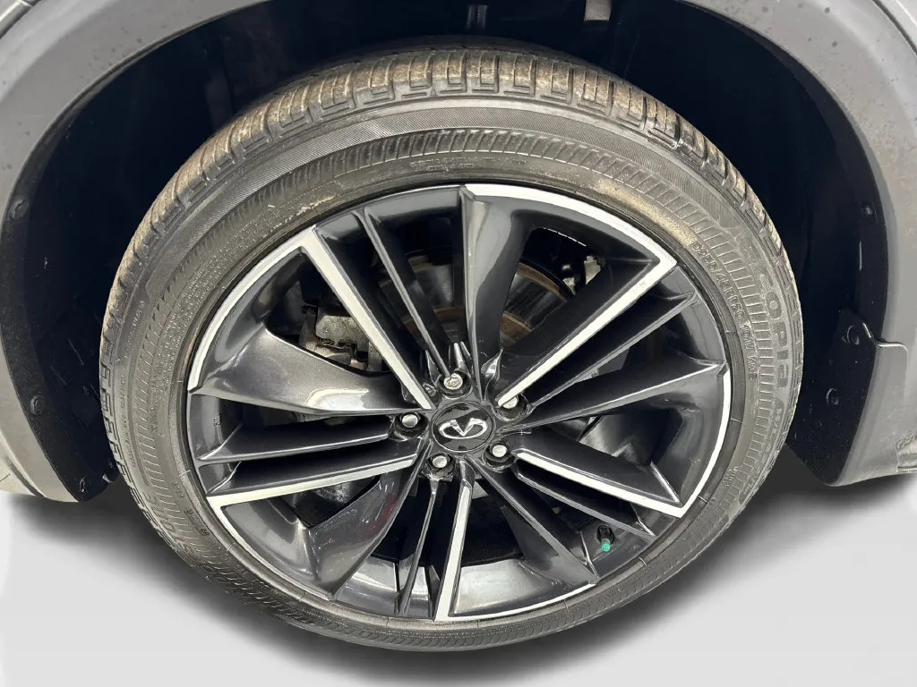 Infiniti QX55 photo 81
