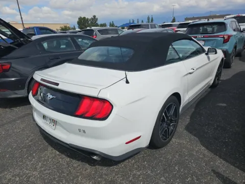 Photos of 2023 Ford Mustang EcoBoost Premium for sale in Irving, TX at Autos of Dallas - Irving