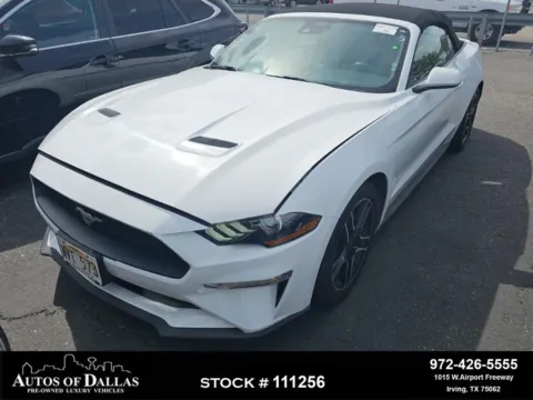 Photos of 2023 Ford Mustang EcoBoost Premium for sale in Irving, TX at Autos of Dallas - Irving