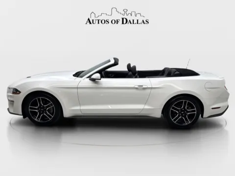 More photos of 2023 Ford Mustang EcoBoost Premium at Autos of Dallas - Irving, TX