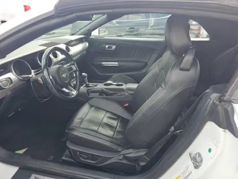 More photos of 2023 Ford Mustang EcoBoost Premium at Autos of Dallas - Irving, TX