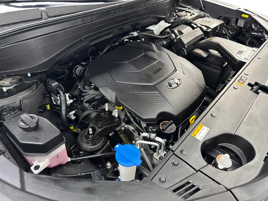 Hyundai Palisade photo 80