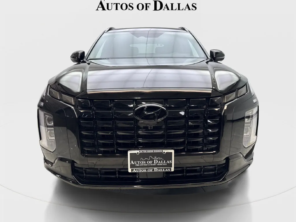 Hyundai Palisade photo 4
