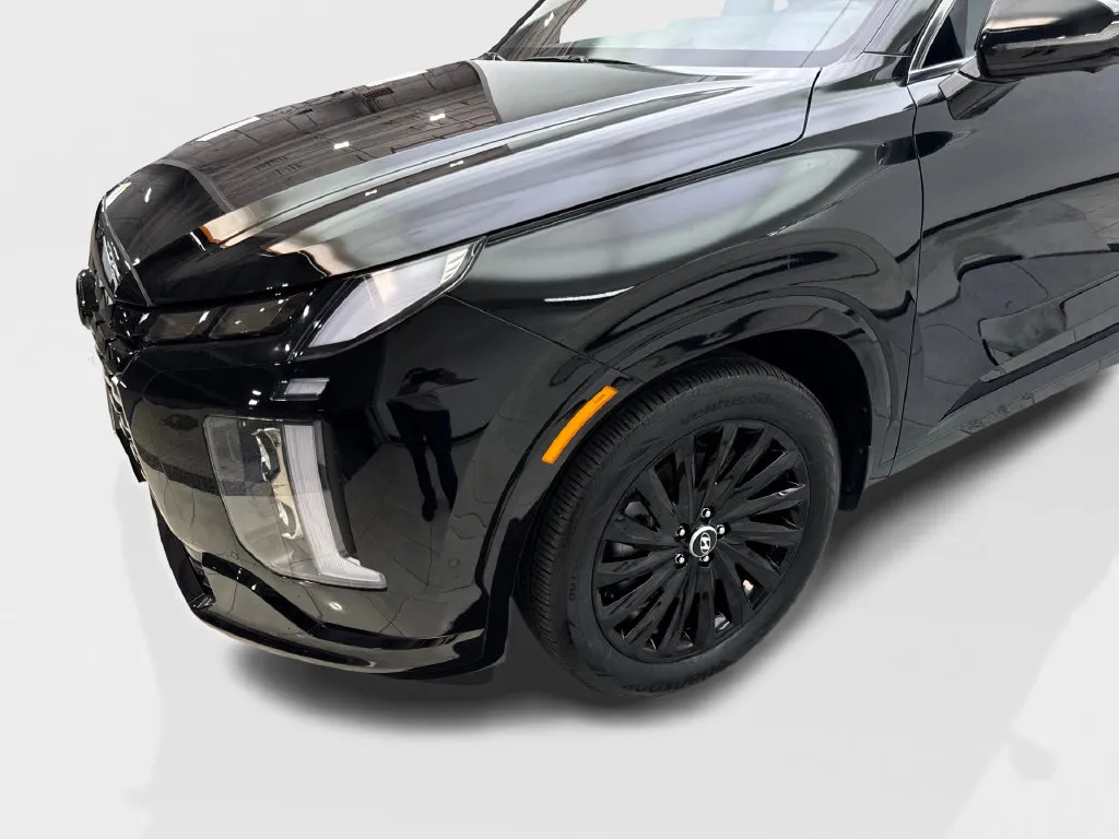 Hyundai Palisade photo 20