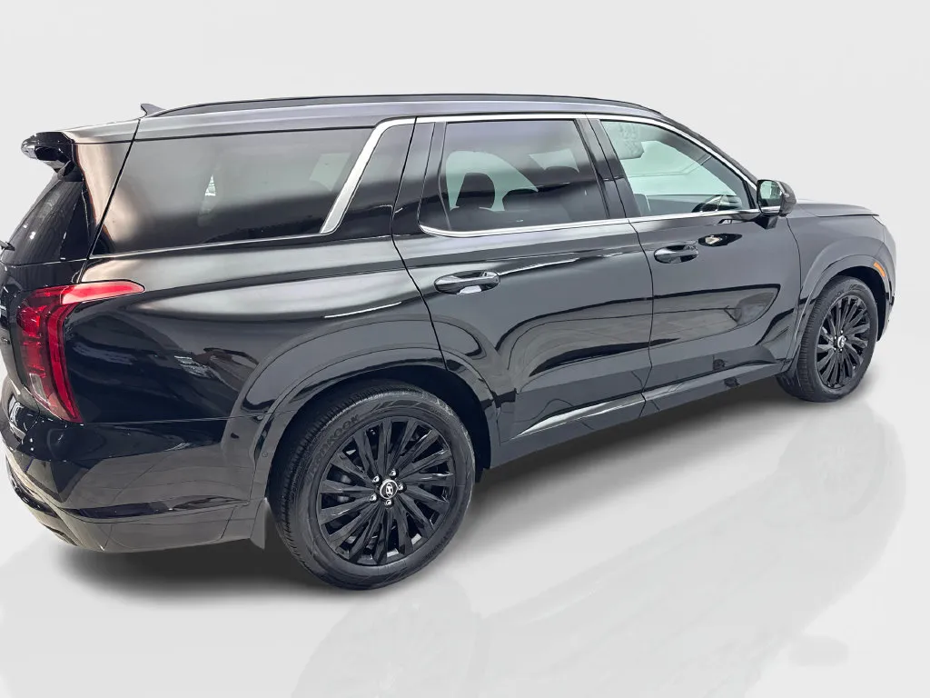 Hyundai Palisade photo 15