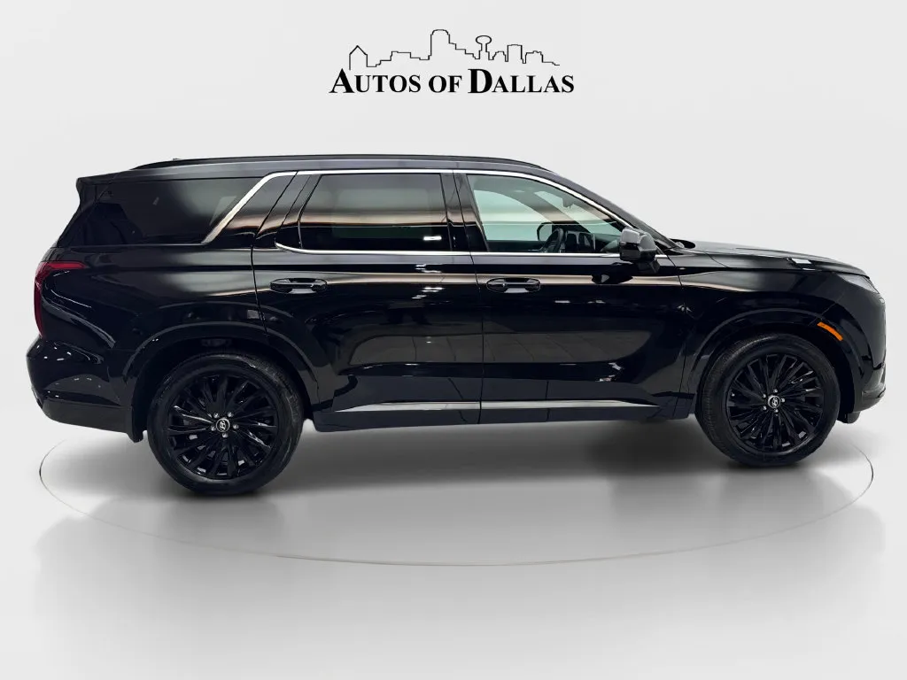 Hyundai Palisade photo 11